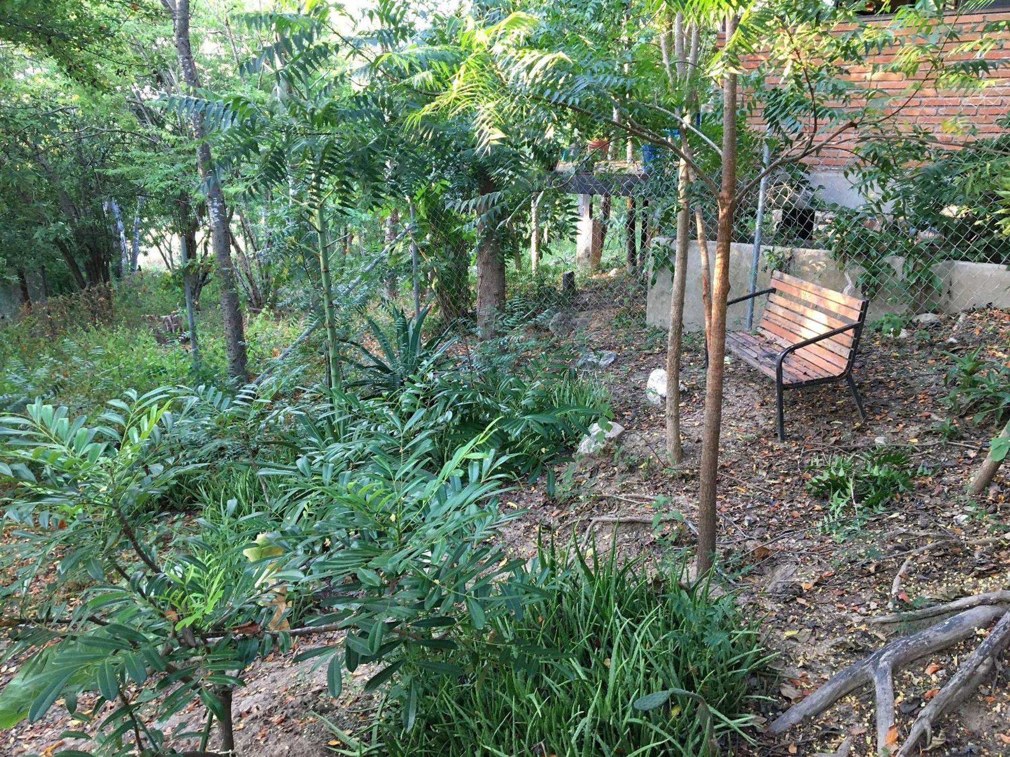 Centro Sati Bungalow Cuatunalco Bagian luar foto